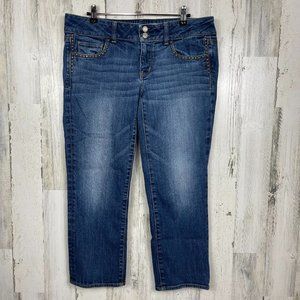 American Eagle Outfitters AEO Artist crop denim jeans studs stretch size 12